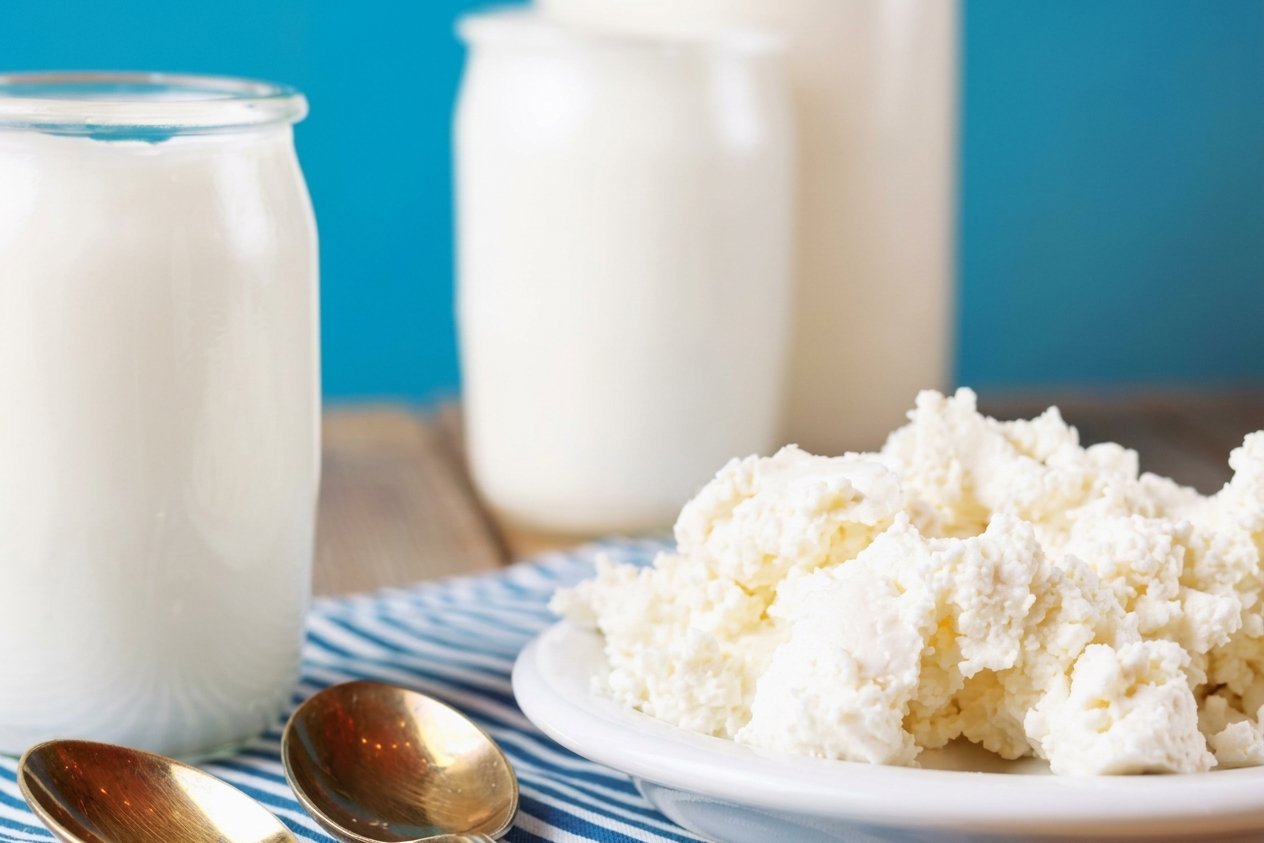 Alimentos fermentados podrían beneficiar la salud intestinal y muscular